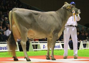 Bruna12 163